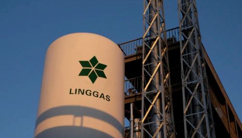 綠菱氣體年產(chǎn)1萬噸高純電子特氣項目技術服務公示